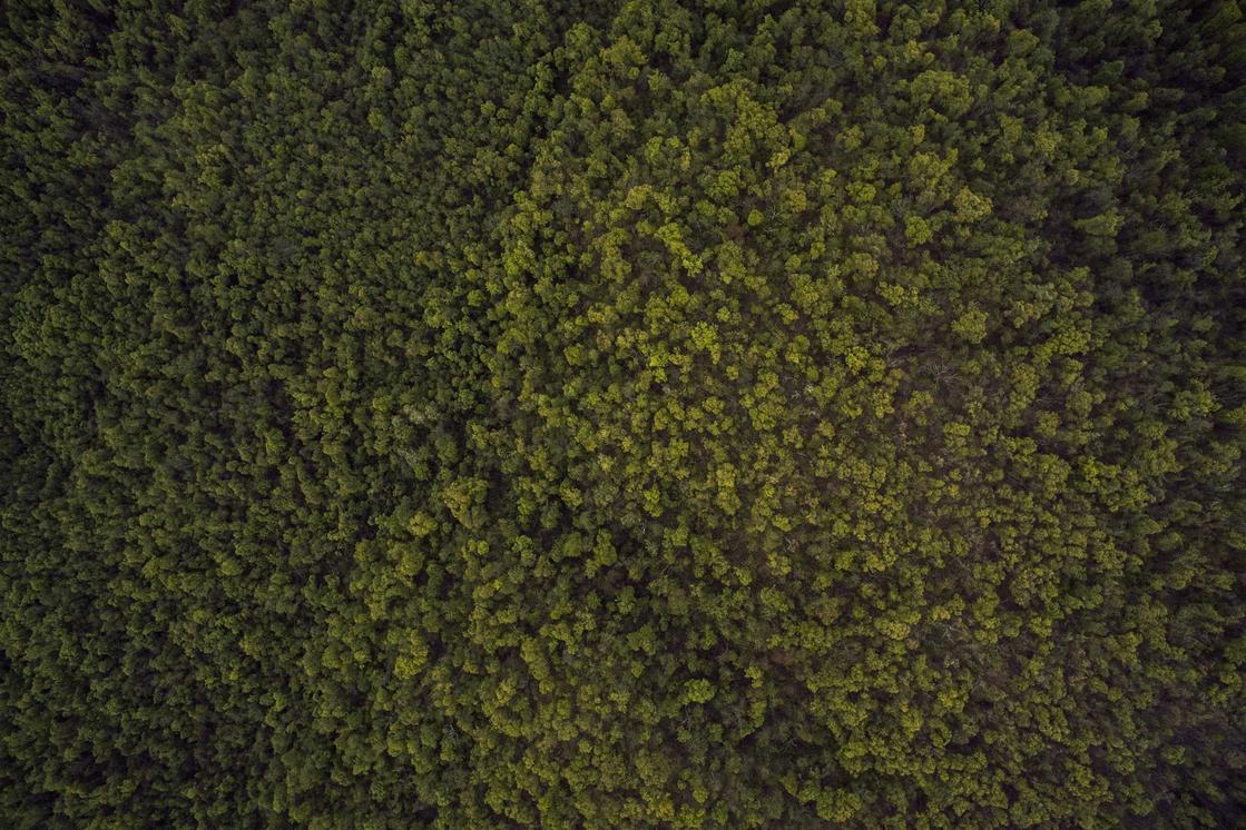 Hic molestias rem deserunt qui quidem